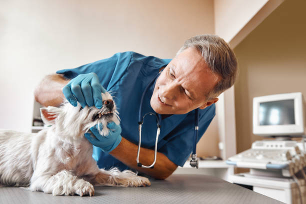 Best Dentist for Tooth Abscess  in Granville, OH