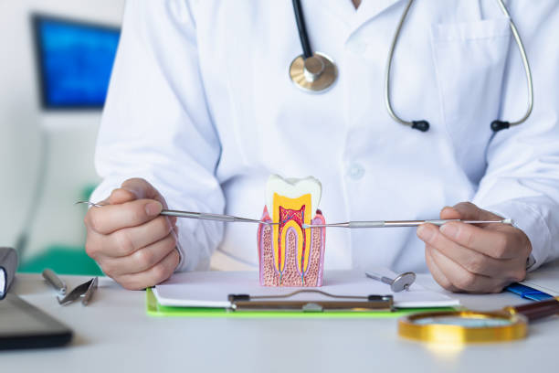 Best Emergency Gum Pain Relief  in Granville, OH